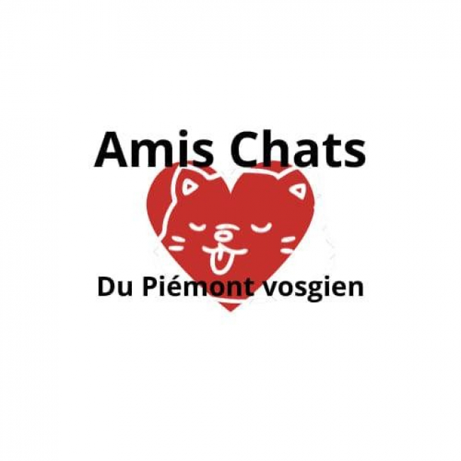 Photo de Amis Chats du Piémont Vosgien