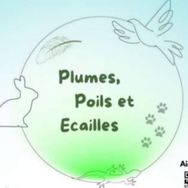 Photo de Plumes, Poils et Ecailles