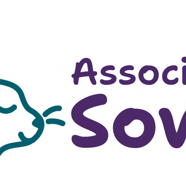 Photo de Association Sowly