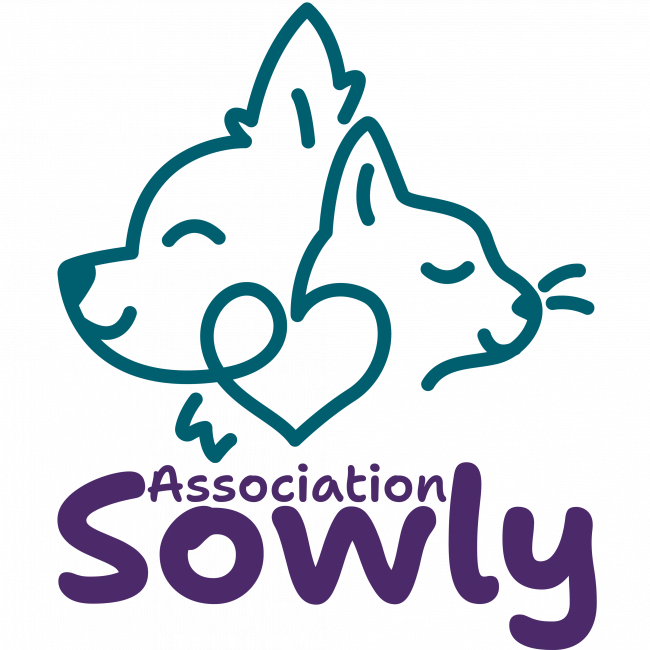 Photo de Association Sowly