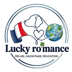 Logo Lucky Ro'mance