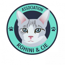 Logo Rohini et Compagnie
