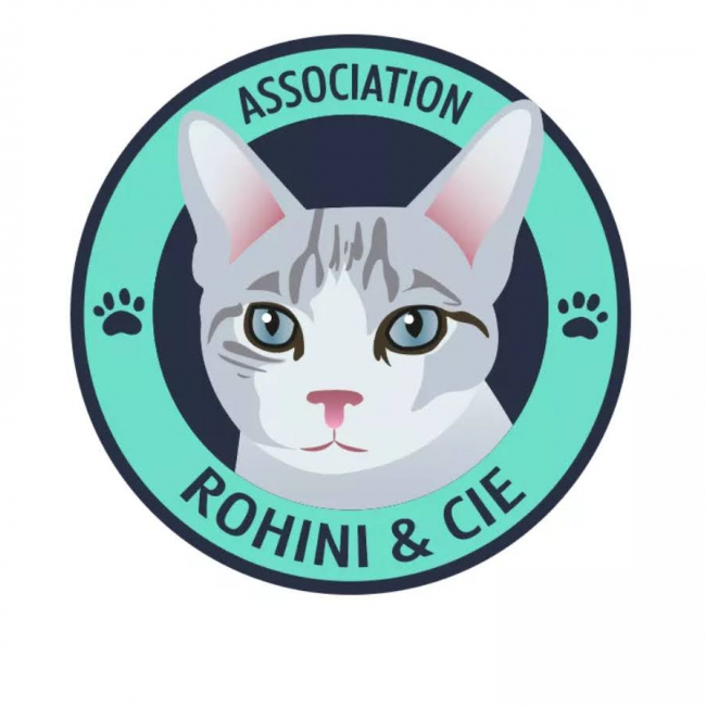 Photo de Rohini et Compagnie