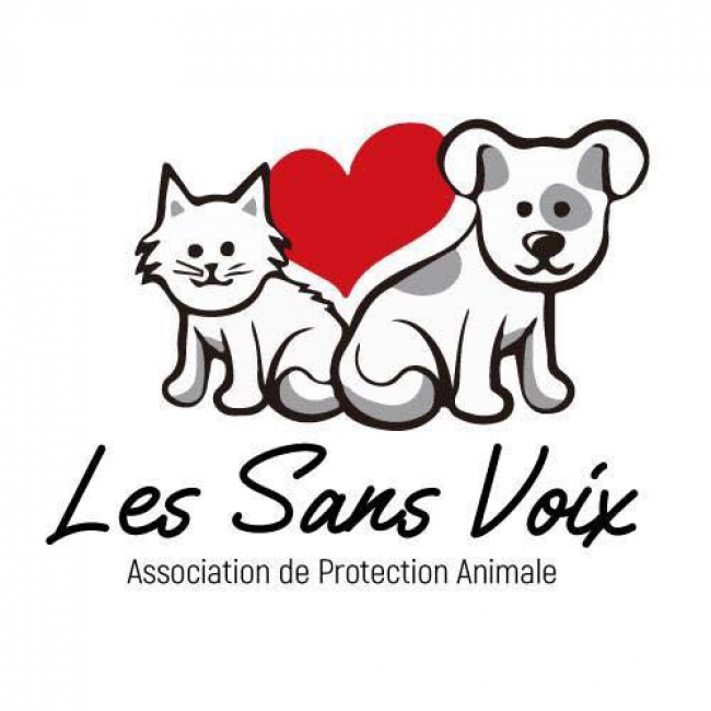 Photo de ASSOCIATION LES SANS VOIX