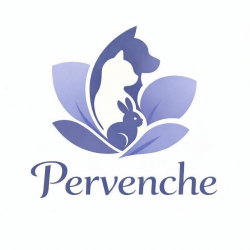 Pervenche