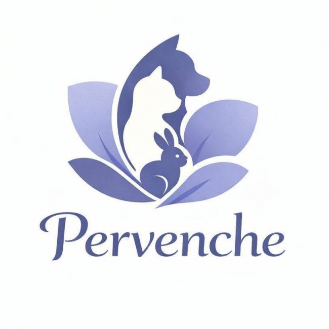 Photo de Pervenche