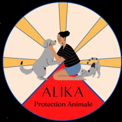 Logo ALIKA PA