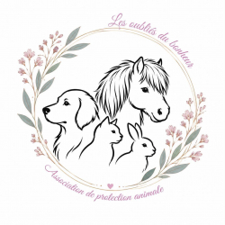 Logo Les oubliés du bonheur protection animale
