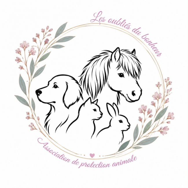 Photo de Les oubliés du bonheur protection animale