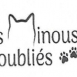 Logo Les Minous Oublies