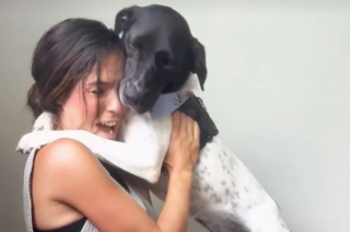 Illustration de l'article : Adoptée dans un refuge avec sa sœur, cette chienne exprime sa reconnaissance à sa maîtresse d’une adorable manière (vidéo)