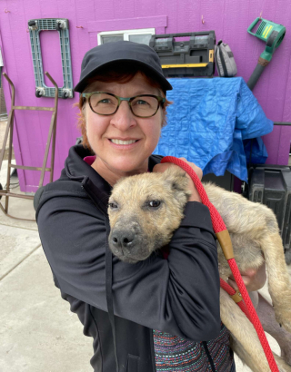 Illustration de l'article : Grâce à un heureux effet du hasard, ce chien errant change de vie et explose de joie en rencontrant ses bienfaiteurs (vidéo)