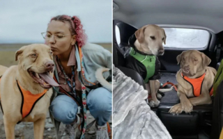 Illustration de l'article : En adoptant un chien malade hors du commun, une jeune femme est rapidement convaincue d’avoir pris la meilleure décision de sa vie