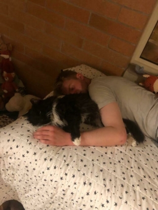 Illustration de l'article : 20 photos réconfortantes de chats et de chiens de refuge qui découvrent les joies de la vie de famille