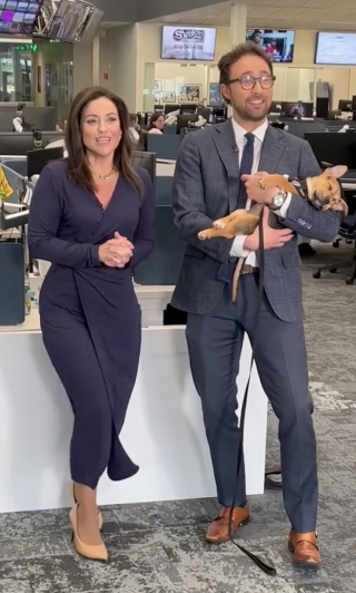Illustration de l'article : Bow, un chiot orphelin, s'endort à la télé et trouve enfin une famille aimante (vidéo)