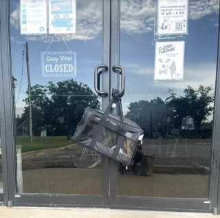 Illustration de l'article : Abandonnée dans un sac accroché à la porte d’un refuge, cette petite chienne se remet doucement de ses émotions