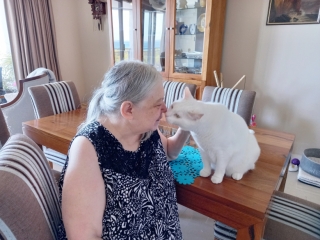 Illustration de l'article : Après avoir fait ses adieux à sa maîtresse bienaimée, un chat est pris en charge par une association déterminée à lui trouver une nouvelle famille