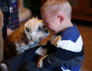 Illustration de l'article : 16 photos prouvant que les chiens sont des partenaires de vie au grand cœur
