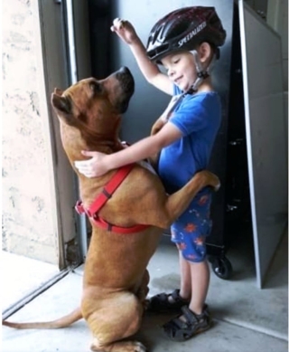 Illustration de l'article : 16 photos prouvant que les chiens sont des partenaires de vie au grand cœur