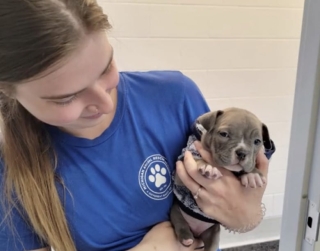Illustration de l'article : Cette petite chienne abandonnée à cause de son handicap se relève de toutes les épreuves (vidéo)