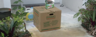 Illustration de l'article : Pour cause de divorce, une famille abandonne son chat de 8 ans dans une boîte en carton devant la maison d'un voisin (vidéo)