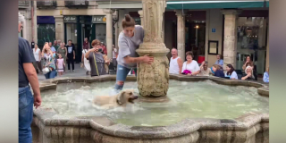 Illustration de l'article : Une chienne profite de l'inattention de son adoptante pour piquer une tête dans une fontaine publique, sous le regard amusé des passants (vidéo)