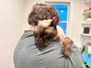 Illustration de l'article : Ce chat de 14 ans sera éternellement reconnaissant pour le geste qu'a fait cette famille