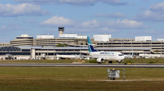 Illustration de l'article : Alors que sa grand-mère allait à l'aéroport, ce chat a décidé de s'introduire dans la voiture et de fuir dans l'aéroport