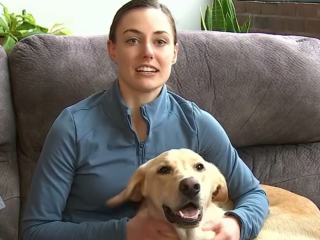 Illustration de l'article : Alors qu'ils étaient en voyage pour préparer leur mariage, ce couple apprend que leur chien a fugué
