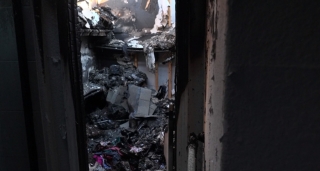 Illustration de l'article : Cette femme tente de retrouver la chienne de ses amis après l’incendie de leur maison