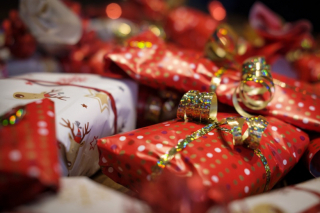 Illustration de l'article : Les Français disent non aux animaux de compagnie comme cadeaux de Noël et expriment leur attachement à l'adoption responsable
