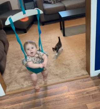 Illustration de l'article : Le rire de ce bébé qui rencontre un chaton pour la première fois est communicatif 