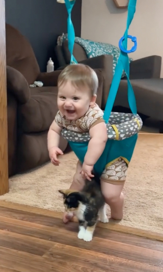 Illustration de l'article : Le rire de ce bébé qui rencontre un chaton pour la première fois est communicatif 