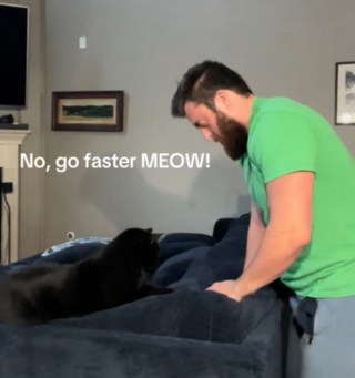 Illustration de l'article : Cet adorable chat donne une leçon de “pétrissage” à son humain qui n’est visiblement pas très doué… (vidéo)