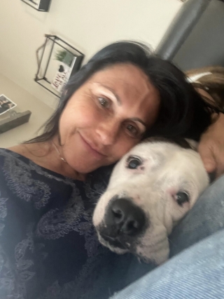 Illustration de l'article : Samantha, une chienne abandonnée, retrouve enfin un foyer aimant 