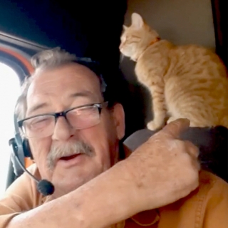 Illustration de l'article : L’histoire émouvante d’un routier malade et d’un petit chaton qui lui a sauvé la vie
