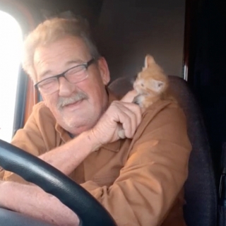 Illustration de l'article : L’histoire émouvante d’un routier malade et d’un petit chaton qui lui a sauvé la vie