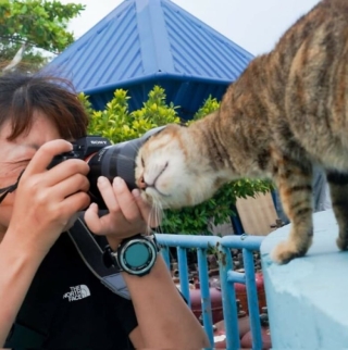 Illustration de l'article : 18 adorables photos de chats et de chiens qui vont vous faire fondre d’amour