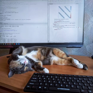 Illustration de l'article : 13 photos de chats qui ont élevé la paresse au rang d’art véritable