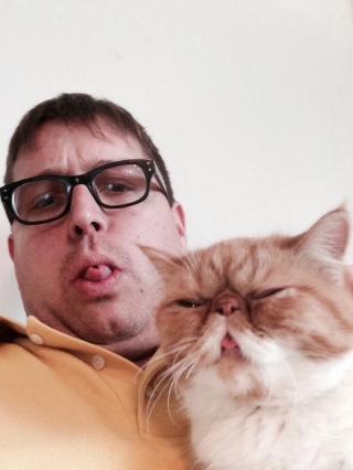 Illustration de l'article : 16 photos de chats qui ont tendance à se comporter comme des humains