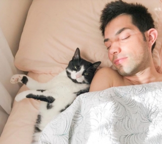 Illustration de l'article : 16 photos de chats qui ont tendance à se comporter comme des humains
