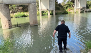 Illustration de l'article : Piégé au beau milieu d’un cours d’eau, un chaton suscite l’inquiétude d’un homme engagé dans la cause animale