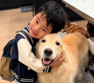 Illustration de l'article : Dès qu’il rentre de l’école, ce petit garçon bénéficie du plus joyeux des accueils assuré par son Golden Retriever (vidéo)