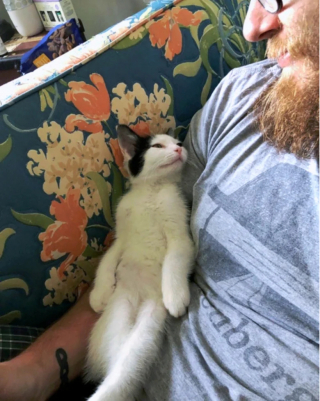 Illustration de l'article : 14 photos de chats et de chiens qui reflètent leur amour inconditionnel pour leurs maîtres