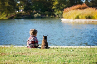 Illustration de l'article : 14 photos de chats et de chiens qui reflètent leur amour inconditionnel pour leurs maîtres