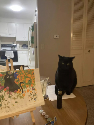 Illustration de l'article : 15 photos de chats dont la façon de vivre devrait inspirer les humains