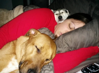 Illustration de l'article : 24 photos de chiens qui témoignent leur amour à leurs maîtres
