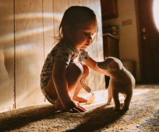 Illustration de l'article : 24 photos de chiens qui témoignent leur amour à leurs maîtres