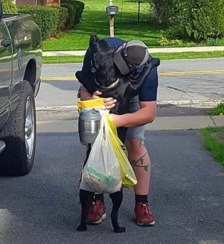 Illustration de l'article : 24 photos de chiens qui témoignent leur amour à leurs maîtres