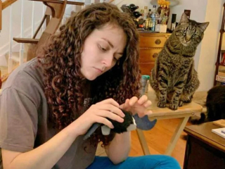 Illustration de l'article : 19 photos attendrissantes de chats chouchoutés par leurs parents humains